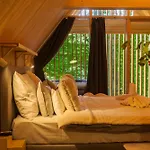 Treehouses * Noszvaj