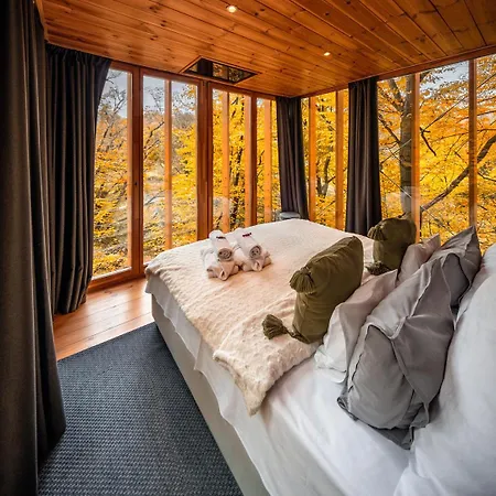 Apartament Treehouses *