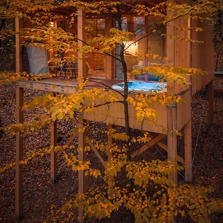 Treehouses * Noszvaj