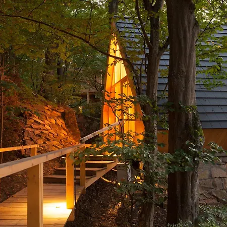 Treehouses Apartament Noszvaj