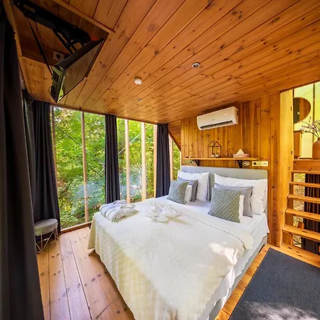 Apartment Treehouses