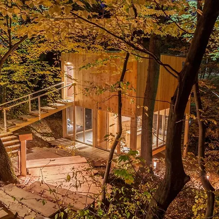 Apartament Treehouses Noszvaj