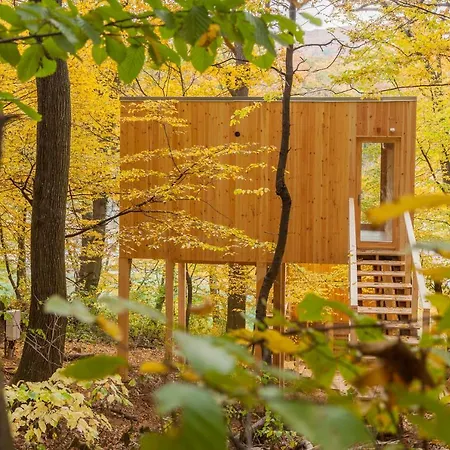 Treehouses Apartament Noszvaj