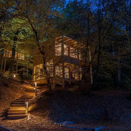 Treehouses Apartament