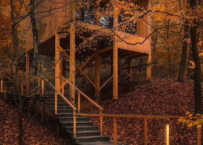 Treehouses * 诺茨瓦约