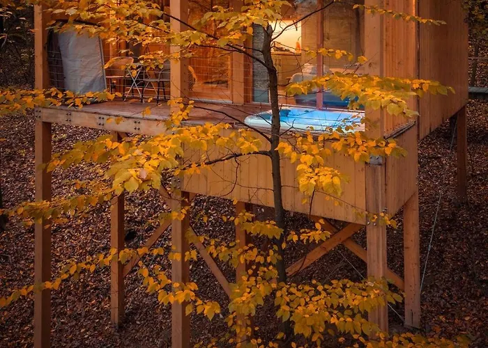 דירה Treehouses *