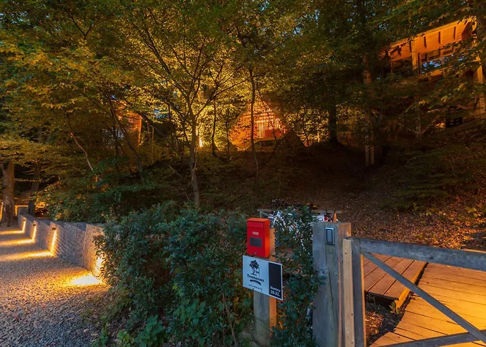 Treehouses *