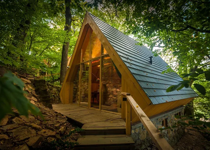 Treehouses 诺茨瓦约