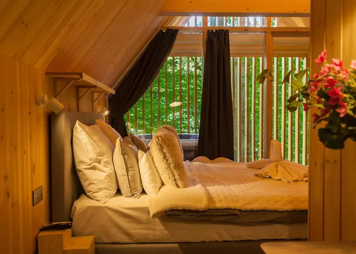 Treehouses * 诺茨瓦约