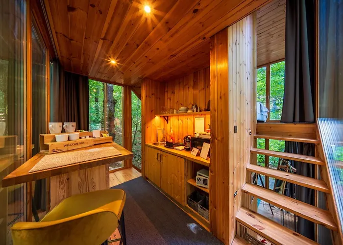 Treehouses נושבאי