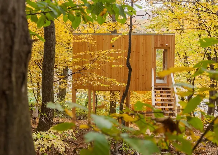 Treehouses 公寓 诺茨瓦约