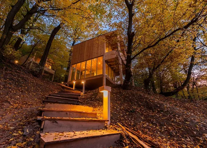 Treehouses 公寓 诺茨瓦约